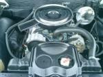 1966 PONTIAC GTO 2 DOOR HARDTOP - Engine - 65894