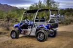 2008 YAMAHA RHINO - Rear 3/4 - 71561