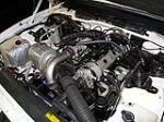 1989 PONTIAC FIREBIRD TRANS AM INDY PACE CAR - Engine - 79864