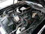 1978 PONTIAC FIREBIRD TRANS AM COUPE - Engine - 80983
