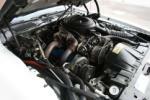 1981 PONTIAC FIREBIRD TRANS AM COUPE - Engine - 91079