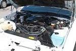 1984 PONTIAC FIREBIRD TRANS AM 15TH ANNIVERSARY EDITION - Engine - 91166