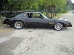 1980 PONTIAC FIREBIRD TRANS AM 2 DOOR COUPE - Side Profile - 93525