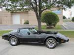 1978 CHEVROLET CORVETTE CUSTOM COUPE - Side Profile - 96703
