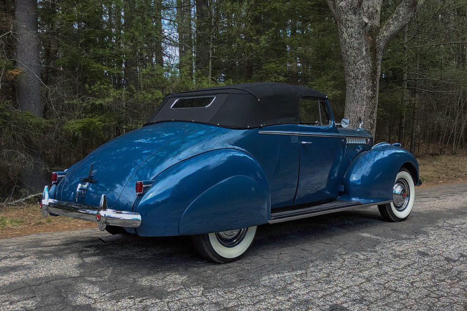 カッピ 218958_Rear_3-4_Web.jpg